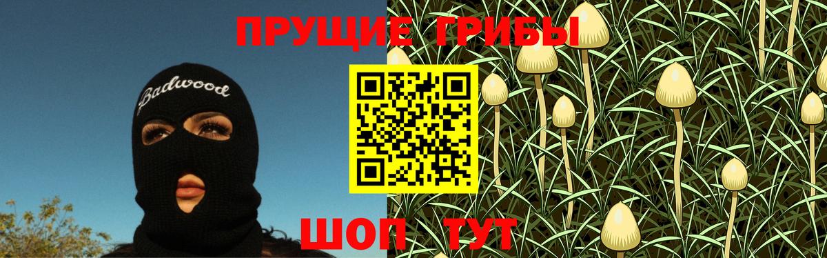 цена   Галлюциногенные грибы MAGIC MUSHROOMS  Псилоцибиновые грибы ЛСД  Вход с VPN  Котлас 